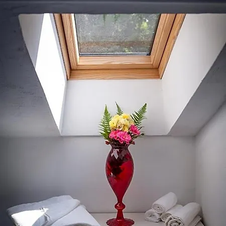 Buzzi Bed & Breakfast