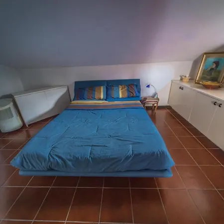 Buzzi 4*